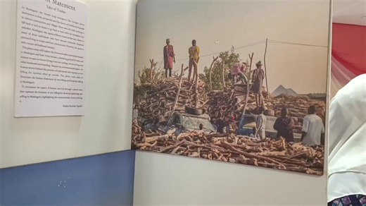 33 reactions · 6 comments | Reframing the North East! Arts and photography exhibition by FAAF in collaboration with UNICPF, FRAD, NEEM, CASFOD and others UNESCO Borno State ICOMOS Nigeria The Nigeria Future Project.com Unity Care Foundation for Orphans and Widows UNESCO Youth Family Connection Global | UNICPF | Facebook