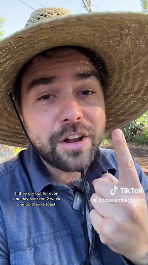 Easy Carrot Germination Method for Minecraft | Planting, Growing, and Farming Carrots