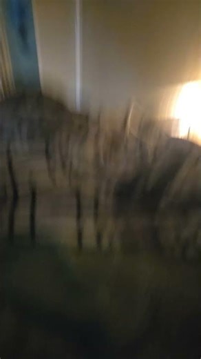 #funny #explosion #memes