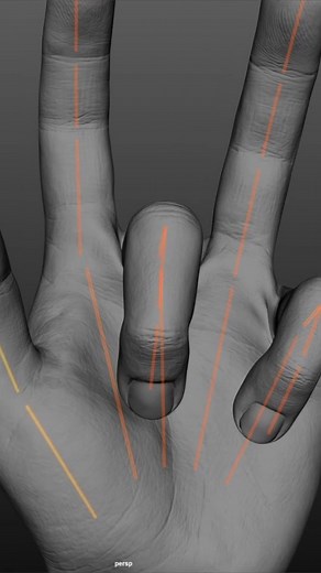 Character Rigging | Animation | CGi | Hand deformation study by Matt LeFevre Matt used nCloth in Autodesk Maya to decompose simulation data and train joint transformations... | Instagram