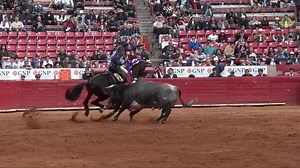 25 reactions | VIDEO RESUMEN Plaza México. Décima corrida de la Tenporada Grande. Festejo de rejones. Menos de un cuarto de entrada. Toros de Vistahermosa, 5o. fue indultado. Horacio Casas: Pitos tras aviso en su lote. Emiliano Gamero: Vuelta tras dos avisos y dos vueltas tras indulto. Santiago Zendejas: Vuelta y ovación #LaMexico #TodosAlosToros | Olé Toros | Facebook