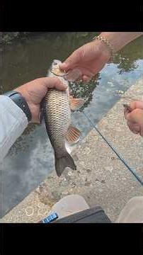 When you catch a fish right in front of other anglers who haven't caught anything... 🫣🤣. #fishing...