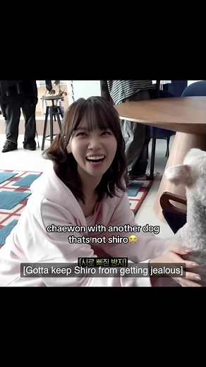 Chaewon with a New Dog – Shiro Might Be Jealous!