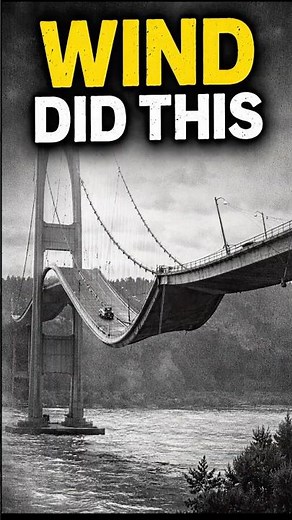 This Bridge Collapsed Because of Wind 😳
