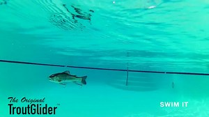 81 reactions · 873 shares | TroutGlider™ is the lure California bass anglers are talking about! Super realistic. Click here ➡️ TroutGlider.com/?vid Get Free Shipping Today. Offer ends today 11pm PST. | TroutGlider | Facebook
