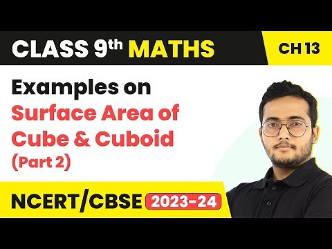 Examples on Surface Area of Cube and Cuboid (Part 2) | Class 9 Maths Chapter 13