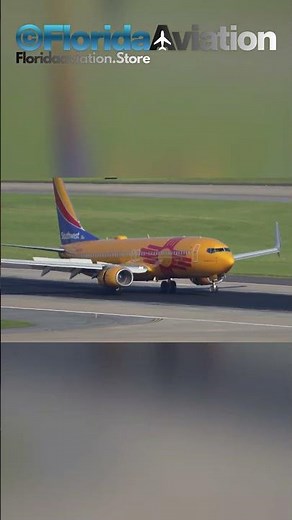 Boeing 737-8H4 Southwest Airlines New Mexico One | Plane Spotting 4K