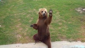 20K views · 281 reactions | Dragi naši ljubitelji životinja i...