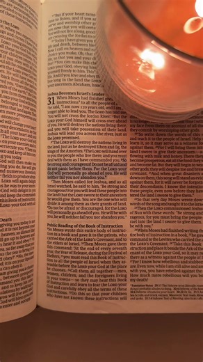 a sunday verse for you… wishing you all blessings into this new week ahead!! 🤍 deuteronomy 31:6 #bibletok #fyp #bibleverse #bible #christiantok