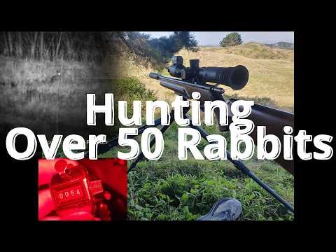 Hunting Rabbits After Dark - Pard EX in Action
