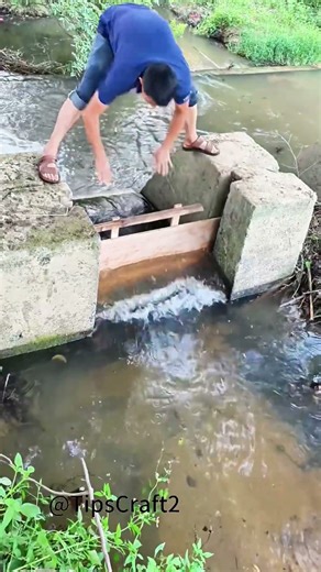 Field "Water Steward": A Board Dividing Irrigation Canals