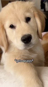 3.8K views · 102 reactions | If someone tells you that you have too...