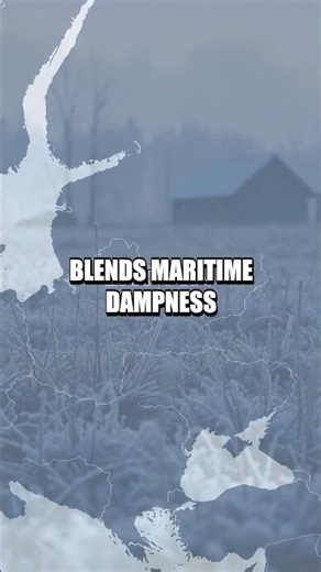 Latvia Unveiled: Borders, Climate, and Baltic Brilliance