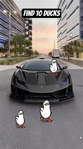 Find 10 ducks #automobile