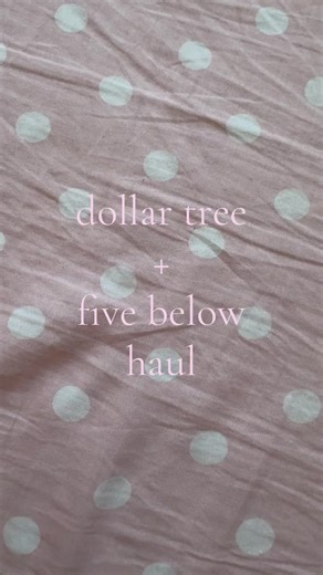Dollar Tree and Five Below Shopping Haul