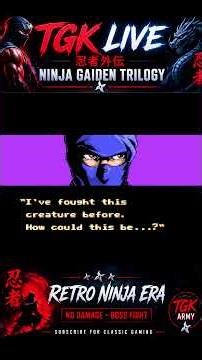 Ninja Gaiden 2 Hardest Boss Fight | NO DAMAGE Gameplay Part 9