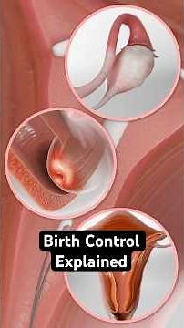 How Hormonal Birth Control Works (Explained Fast)
