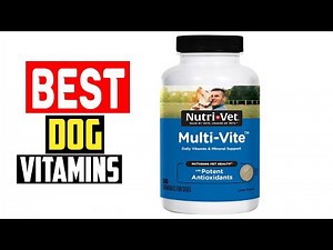 ✅Top 5 Best Dog Vitamins in 2025