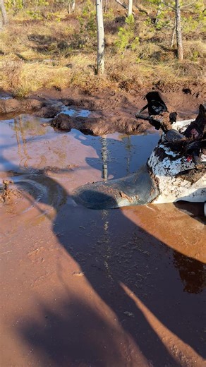 😁😁😁😁 #canam #atv #offroad #4x4 #4x4offroad