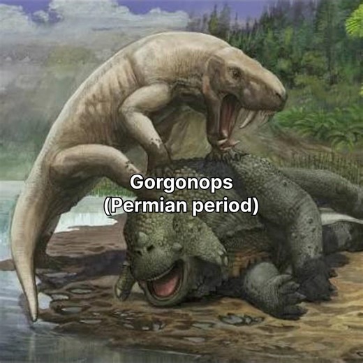 What would kill you the first before HUMANS ? #viral #prehistoricanimals #prehistoric