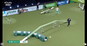 3.3M views · 66K reactions | 磊You're a winner baby!!! 磊 Lauren and Blink smashing their way to the no. 1 spot in the Crufts Singles Final - Small!  | absoluteDOGS | Facebook