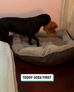 6.3M views · 99 reactions | She can't fall asleep without her nightly essentials  | STUDENTbible | Facebook