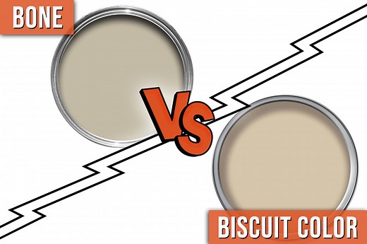 Bone VS Biscuit Color: 3 Differences You Should Know