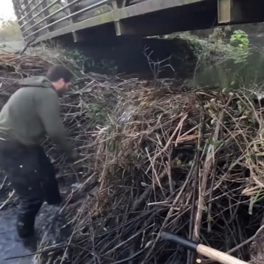 39K views · 538 reactions | Massive Beaver Dam Removal Unleashes Powerful Flow Under Bridge | Beaver Dam01 | Facebook