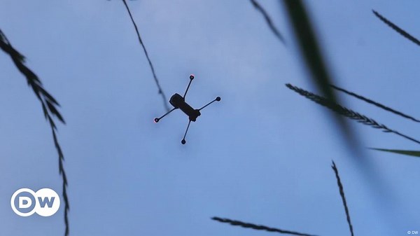 Protecting deer with drones in Switzerland