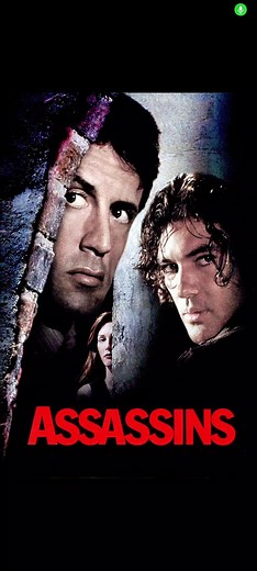 Assassins: An Action-packed 90s Movie