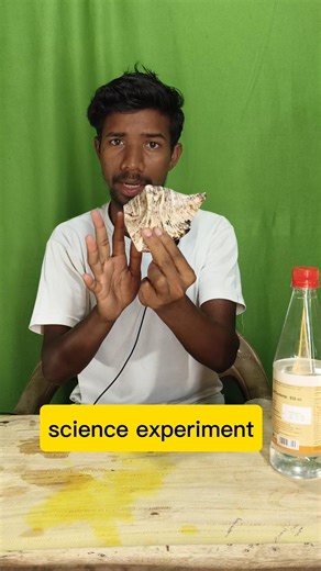 सिरका + शंख = गजब का जादू! 🐚🧪 | Vinegar and Conch Shell Experiment" #experiment #shorts #science