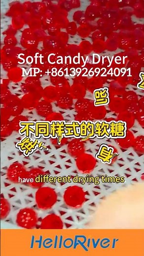 Air Source Heat Pump Gummy Drying Dryer Room: The Efficient and Energy Saving Drying Solution.