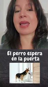 Spanish Vowels | Pronounce A, E, I, O, U Like a Native #learnspanish #스페인어공부 #spanishforbeginners