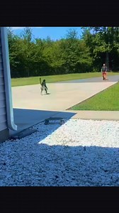 82 reactions | Keke the spider monkey | Master Swimmer | Facebook