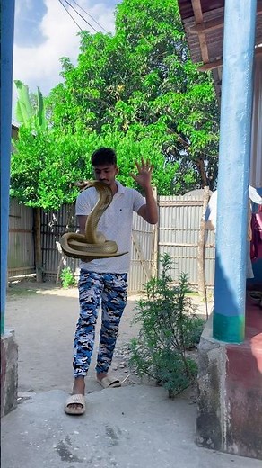 I Killed The Snake With My Hand #shortvideo