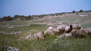 JESUS Film Tswa Language : Free Download, Borrow, and Streaming : Internet Archive