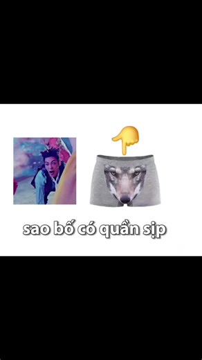 Sao Bố Có Quần Sịp? Khám Phá Lý Do