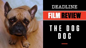 ‘The Dog Doc’ Review: Inspiring And Compassionate Documentary Is A Must-See For Animal Lovers