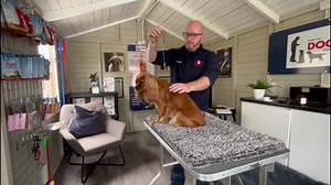 1.1K views · 15 reactions | Reiki is an ancient Japanese hands on...