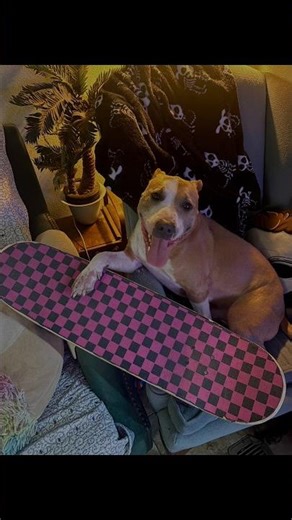 My real life set up and my virtual set up and some chunky peanut butter #skateboarding