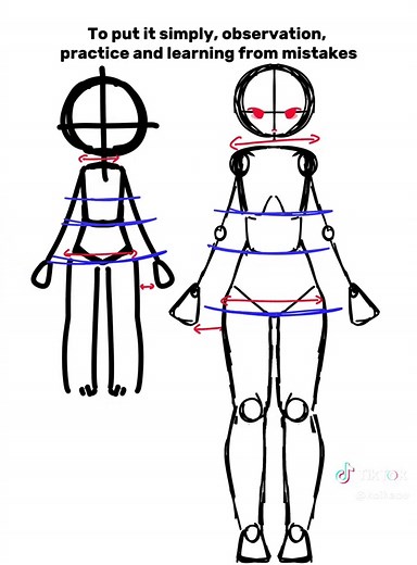 Anatomy & Body Proportions Art Tutorial for Beginners