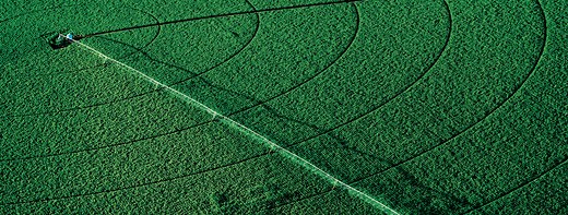 FertiGlobal’s innovative nutritional and biostimulant technologies