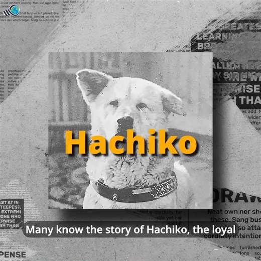 Many know the story of Hachiko, the loyal Japanese dog who waited for his owner for years after his death, but have you heard about Fido, the Italian dog? | Weird World