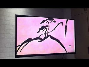 Opening to Mulan theater recorded bootleg VCD