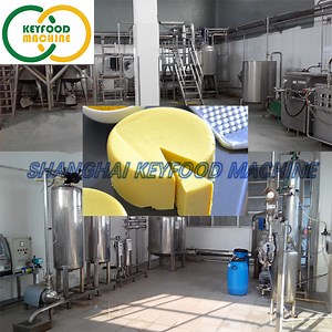 [Hot Item] Low Cost Cheese Production Line Making Machine