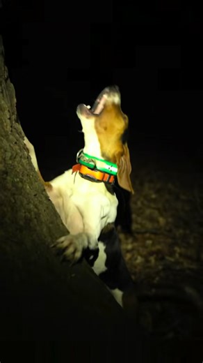 37K views · 1.3K reactions | Ever wonder what really goes on behind...