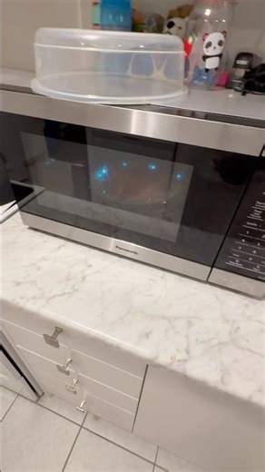 Silver Plate versus Microwave 🔥⚡️😳 #youtubeshorts