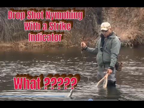 The Drop Shot Indicator Debate: When Rules Bend