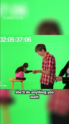 Why Is Everyone Obsessed With Crystal the Monkey?