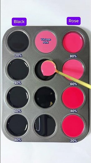 Make 4 Colors from 2 Color Black & Rose #colormixing #satisfying